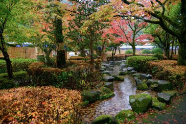 View of colorful autumn and canal in Gifu park, Japan. clipart