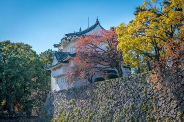 Japonya 'daki Nagoya kalesinde güzel bir sonbahar manzarası var..