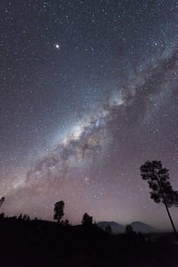 Java, Endonezya 'daki Kawah Ijen yolunda Samanyolu ve siluet ağaçlarının güzel manzarası.