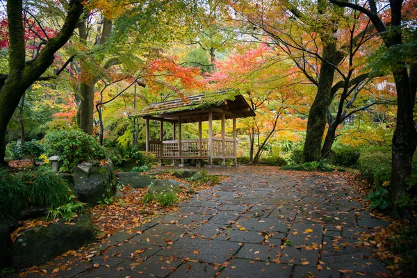Scenery Pavilion Colorful Leaves Gifu Park Autumn Season Gifu Japan — Stock Photo, Image