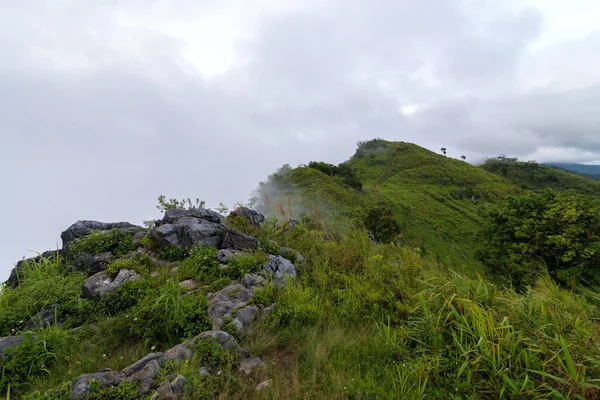 Pohled Doi Pha Tang Mlhou Období Dešťů Dopoledních Hodinách Chiang — Stock fotografie