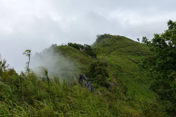 Vista Doi Pha Tang Con Niebla Temporada Lluvias Mañana Chiang — Foto de Stock
