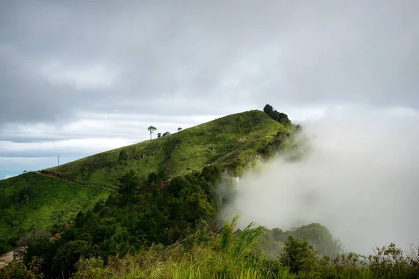 在泰国清莱 多菲汤与雨天的雾气在早晨的景色 — 图库照片