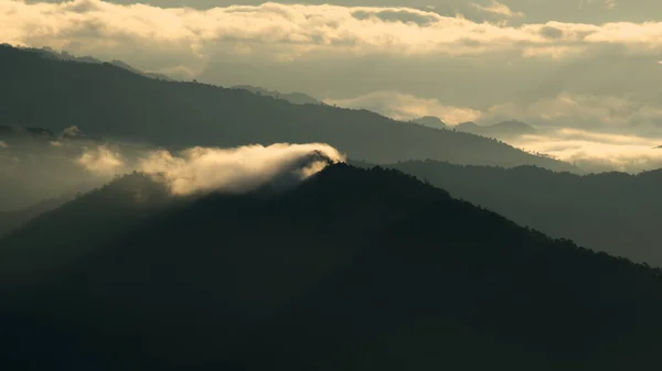 Sabah Doi Pha Tang tepesinde güneşin doğuşunun güzel bir görüntüsü. Chiang Rai, Tayland 'da sis denizi var..