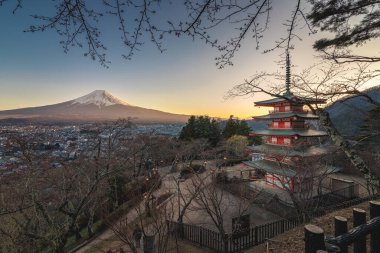 Japonya, Fujiyoshida 'da çiçek açmadan önce gün batımında sakura dallarıyla Chureito pagoda' nın güzel manzarası.