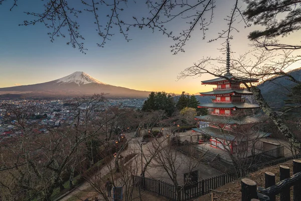 Japonya, Fujiyoshida 'da çiçek açmadan önce gün batımında sakura dallarıyla Chureito pagoda' nın güzel manzarası.
