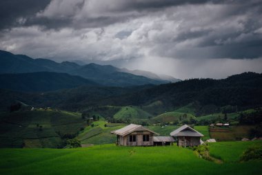Mae Chaem, Chiang Mai, Tayland 'da Bong Piang orman köyünün yeşil teraslı pirinç tarlasının güzel manzarası.