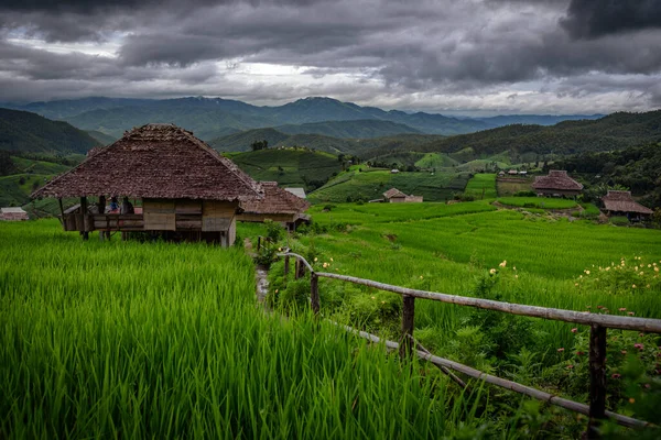 Красивый Пейзаж Зеленого Терракотового Рисового Поля Лесной Деревни Бонг Пьянг — стоковое фото