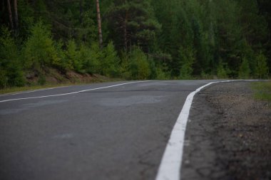 Çalılıkların arasındaki yoldayız. Fotoğraf sağa giden asfalt orman yolunu gösteriyor..