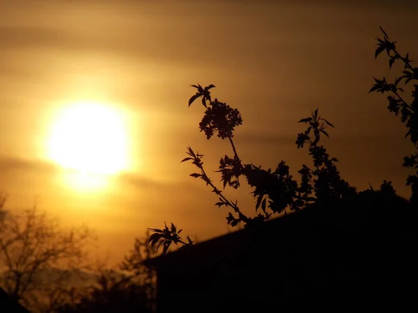 Foto Sol Besa Cielo Más Mirándolo Besaba Cara — Foto de Stock