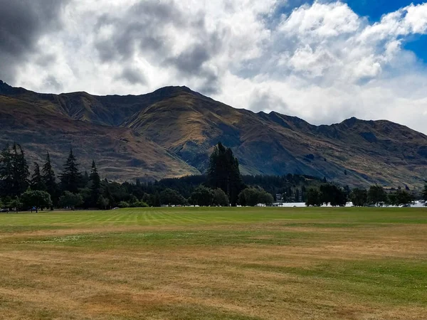 Landschaft Eines Parks Neuseeland — Stockfoto