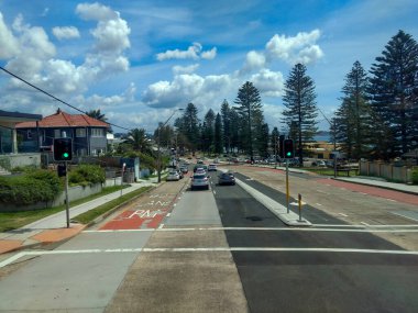 Arabalar ve ağaçlarla dolu bir yol.