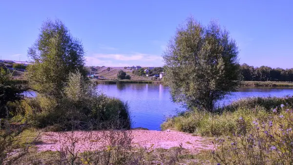 Trees Growing Shores Rural Lake Heat You Can Swim Cool — Stock Photo, Image