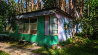 Çam ormanında sıradan bir ev. Yaz.