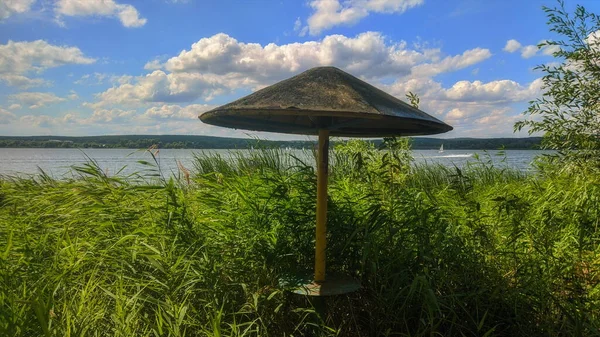 Reed Thickets Öde Strand Ett Paraply Trä Från Solen Segelbåtar — Stockfoto