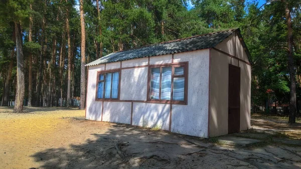 A one-storey forest house and a pine forest behind.