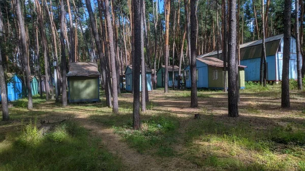松林の中の木造住宅 — ストック写真