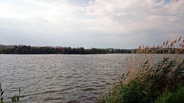 Lago Zhuravlevka Pleno Verano Pronto Habrá Una Tormenta Verdadero Aguacero — Foto de Stock