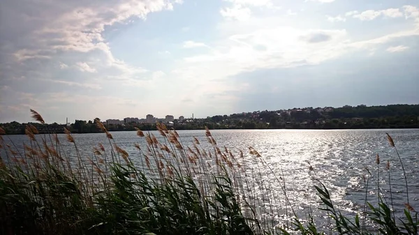 湖Zhuravlevka 真夏だ すぐに雷雨が発生し 真夏の豪雨が発生します 雲が空に集まっている 湖の表面は太陽の下で輝きます 波は銀のようだ — ストック写真