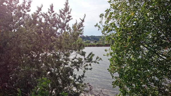 Lake Zhuravlevka Midsummer Soon Thunderstorm Real Summer Downpour Clouds Gathering — Stock Photo, Image