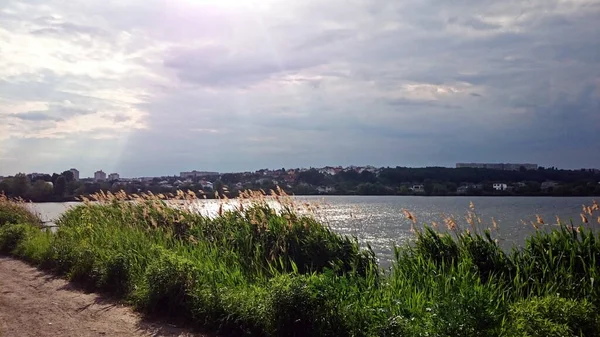 湖Zhuravlevka 真夏だ すぐに雷雨が発生し 真夏の豪雨が発生します 雲が空に集まっている 湖の表面は太陽の下で輝きます 波は銀のようだ — ストック写真