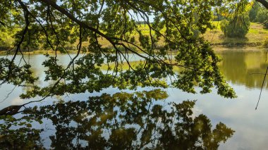 Göl manzarası çok güzel. Yaz. Sıcaklık. En ufak bir esinti bile yok. Gölün kıyısında ağaçlar çok güzel yetişir..