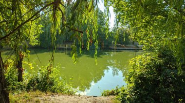 Yaz öğleden sonra. Yeşil peyzaj. Yeşil Nehir. Rüzgarsız havaya değer..
