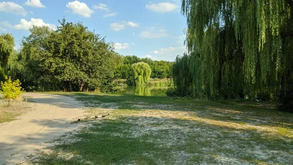 Summer Noon Landscape Green Green River Worth Windless Weather — Stock Photo, Image