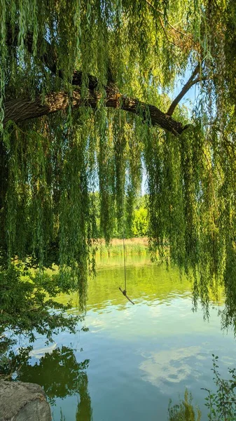 夏の正午 緑の風景 グリーン川だ 風のない天候の価値があります ロープで水上に乗る ストックフォト