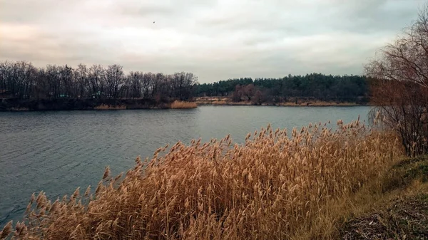 Beautiful River Landscape Autumn Evening Nature Resting Summer Flew Quietly — Stock Photo, Image