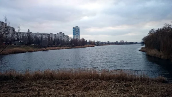 美丽的河流风景 河岸上生长着两棵树 秋天的傍晚房子的灯光在水中反射出来 大自然在休息 — 图库照片