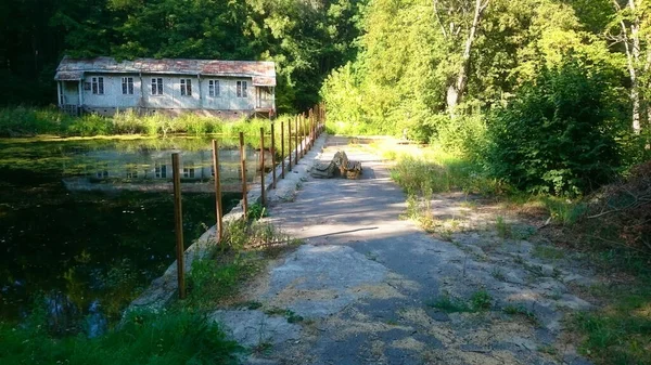 Bien Être Loisirs Divertissement Compétitions Tout Cela Était Dans Les — Photo