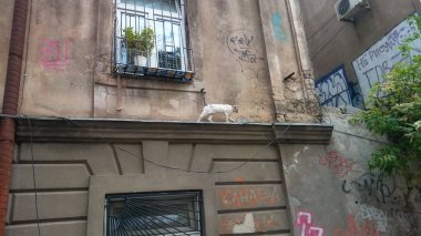 Odessa 'nın eski merkezi. Her yerde yarı yıkılan evlerin yazıtlarını görebilirsiniz. Burada kaos ve yıkım hüküm sürüyor! Kimse eski bölgeyi onaramaz, ama boşuna! Bu bizim hikayemiz! Korunması gerekiyor..