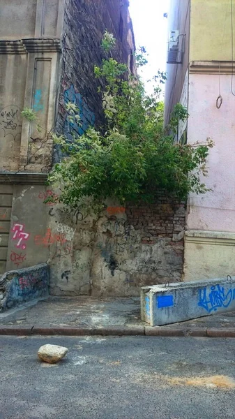 Odessa Nın Eski Merkezi Her Yerde Yarı Yıkılan Evlerin Yazıtlarını — Stok fotoğraf