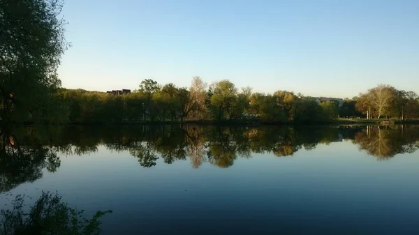 湖の夏の夕日 なんて美しいことよ 本当に 風はない 湖のグレードは申し分ありません 偉大な平和 自然は目を喜ばせる — ストック写真