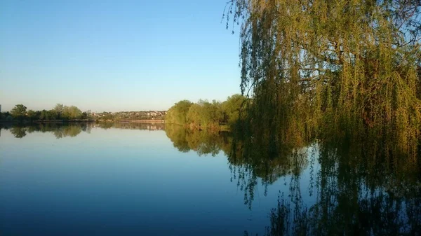 湖の夏の夕日 なんて美しいことよ 本当に 風はない 湖のグレードは申し分ありません 偉大な平和 自然は目を喜ばせる — ストック写真