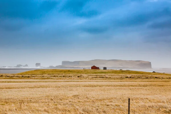 Kışın fırtınalı bir günde İzlanda 'daki Vik siyah plajına bakın.