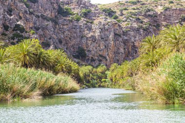 Yunan Beton Adası 'ndaki güzel Preveli Palmiye Sahili' ne bakın.