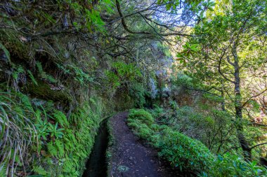 Orta Madeira Adası 'ndaki 25 yazı tipi Levada' ya yürüyüş yolu resmi