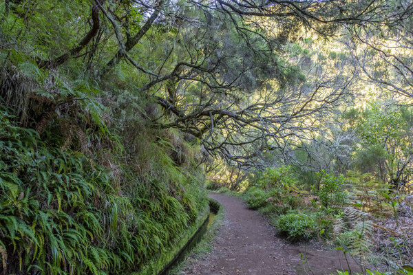 Picture of hiking trail to the Levada of 25 fontes in central island of Madeira