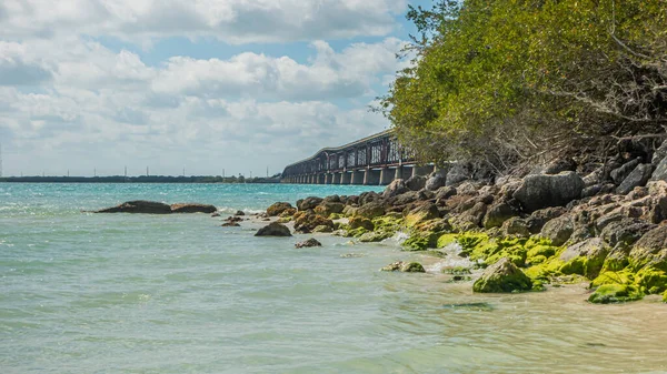 Foto Ponte Autostradale Sandspur Beach Florida Keys — Foto Stock