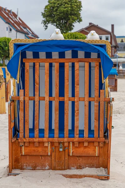 Eski Geleneksel Çatı Hasır Plaj Sandalyesinin Yakın Çekimi — Stok fotoğraf