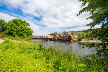Nidaros Domkirke parkından Tronheim eski şehrinin renkli evlerine