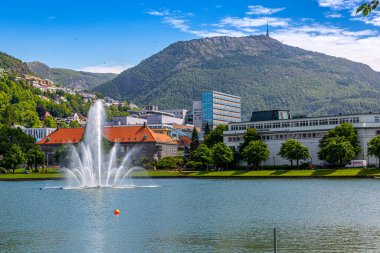 Trondheim 'daki Lille Lungegardsvannet parkına bak
