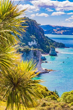 Yeni Zelanda 'nın kuzeyindeki Te Whanganui-A-Hei Deniz Koruma Alanının kayalık kıyılarına bakın.