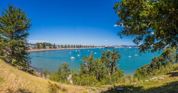 新西兰北部陶兰加市港口及游轮码头景观 — 图库照片
