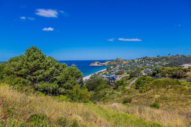 Yeni Zelanda 'nın kuzeyindeki Hahei Sahili manzaralı.