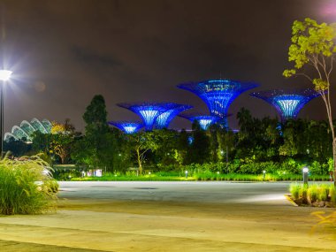 Gece vakti Singapur 'daki Bay Park' ın yanındaki Gardens 'ın resmi.