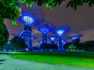 Gece vakti Singapur 'daki Bay Park' ın yanındaki Gardens 'ın resmi.