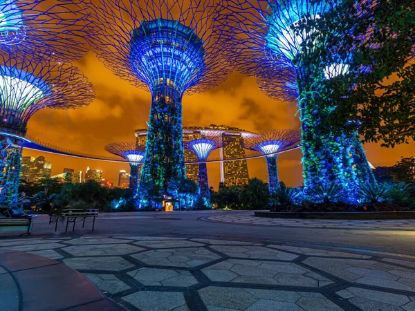 Kép Kertekről Szingapúri Öbölpark Mellett Éjszaka — Stock Fotó